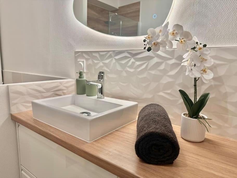 Apartmán L'Orchidee - Netflix - Wi-Fi - Proche Centre Troyes Exteriér fotografie